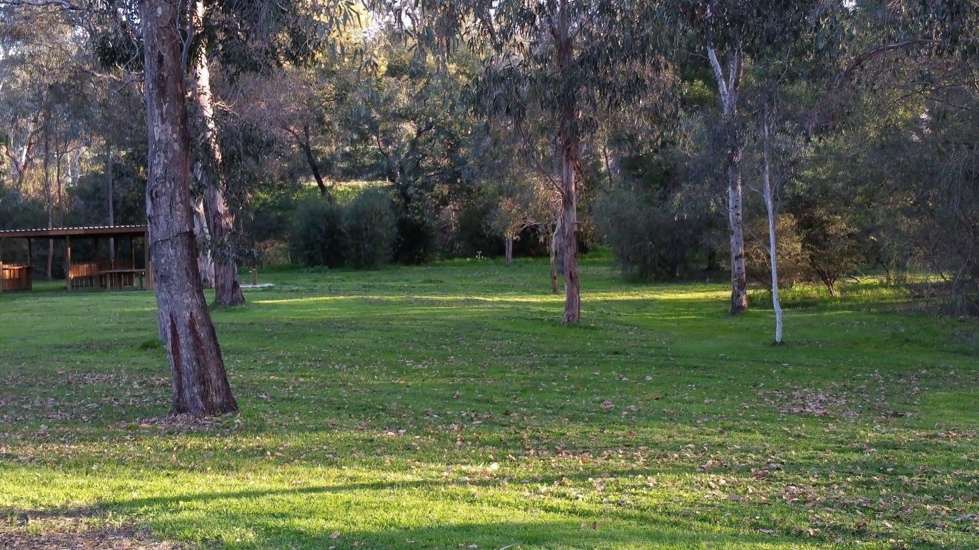 Yea Riverside Caravan Park Bagian luar foto